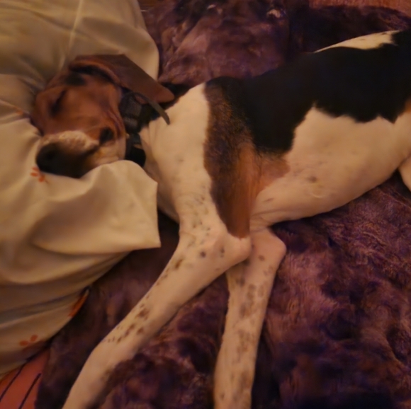 Meet your Posher, M - Picture 1 of 1